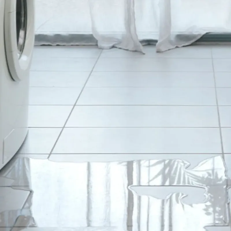 Appliance Leak Cleanup in Gates County, NC