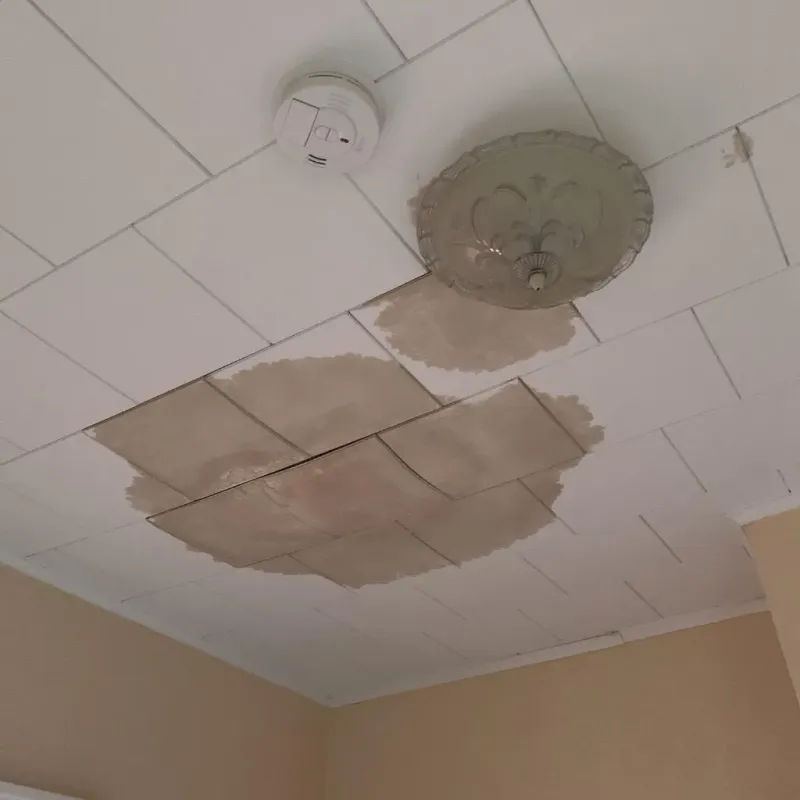 Ceiling Water Damage Repair in Gates County, NC