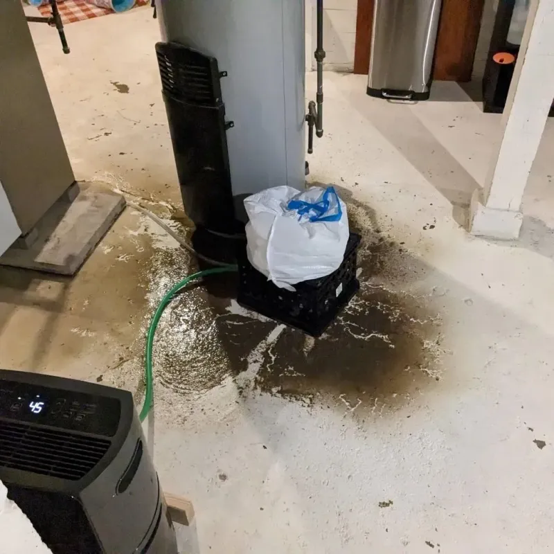 Sewage Backup Cleanup Service in Gates County, NC